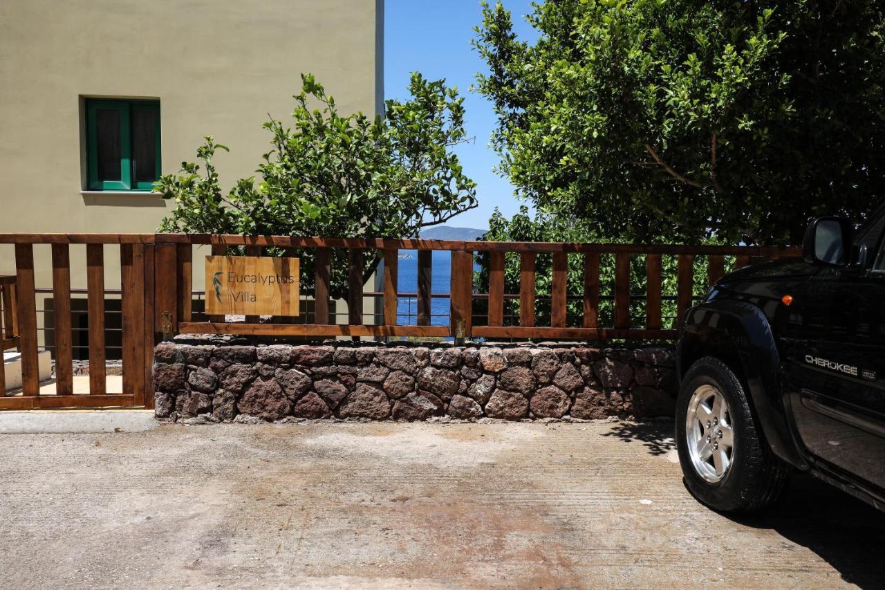Eucalyptus Villa Aegina Extérieur photo
