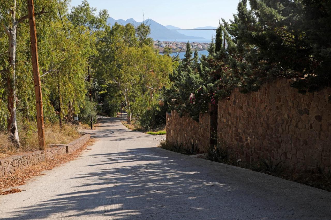 Eucalyptus Villa Aegina Extérieur photo